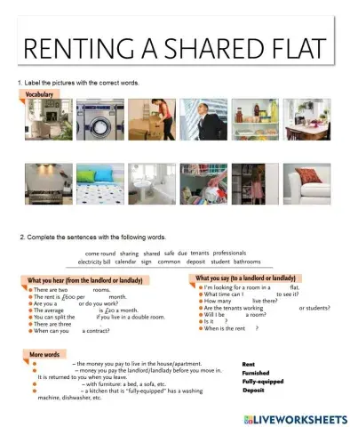Renting a shared flat