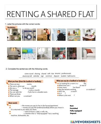 Renting a shared flat