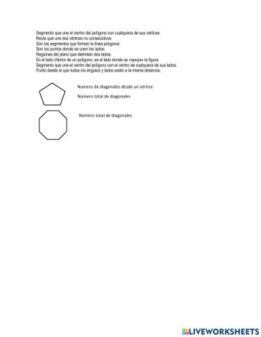 El polígono y sus partes