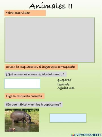 Los animales2