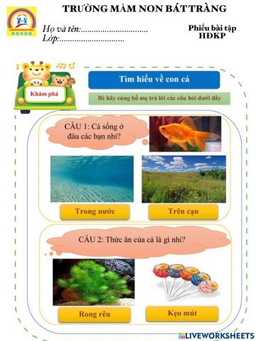 Phiếu BT HĐKP Động vật sống dưới nước- MN Bát Tràng