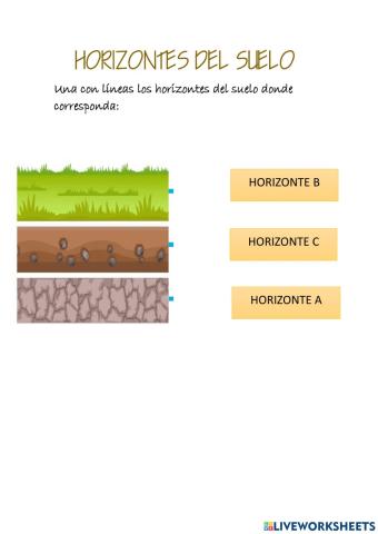 Horizontes del suelo