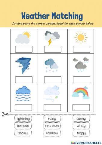 Types of Weather