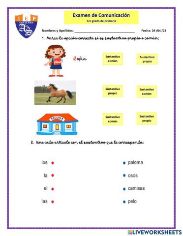 Examen de comunicación