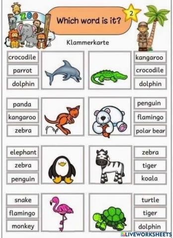 ใบงาน เรื่อง ศัพท์ (สรรพ) สัตว์