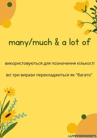 Many-much-a lot of