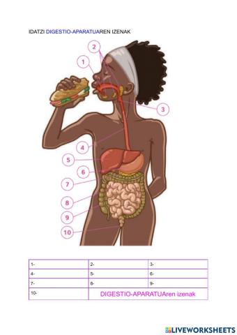 Digestio-aparatuaren izenak