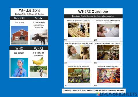WH QUESTIONS ACTIVITIES WHO? WHAT? WHERE?