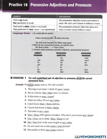 Possessive Adjectives and Pronouns