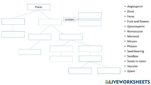 Plant divisions