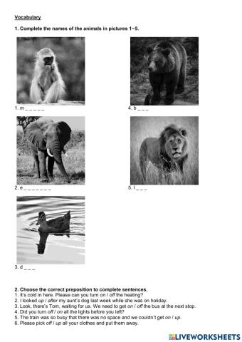 Consolidation unit 16