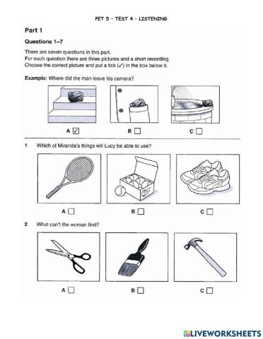 Pet 5 - test 4