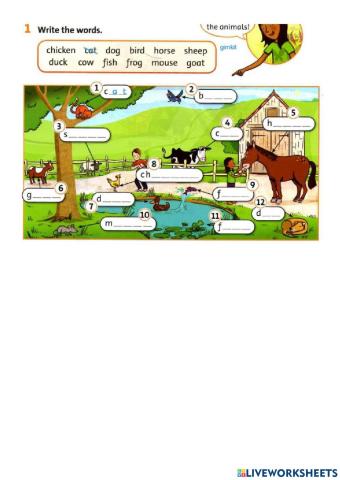 Get ready for staters page 6