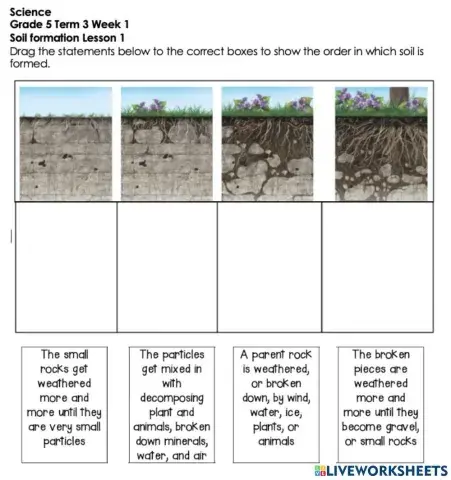 Soil formation