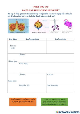 Giới thiệu chung hệ nội tiết