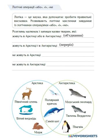 Виконавці та команди