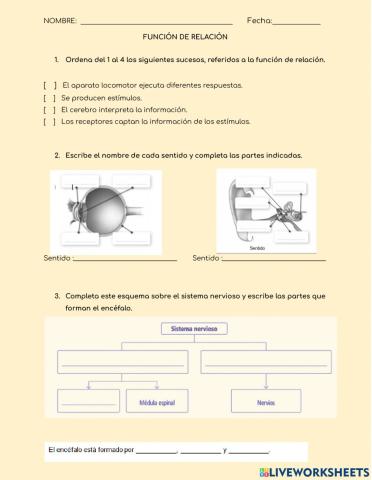 Función de relación