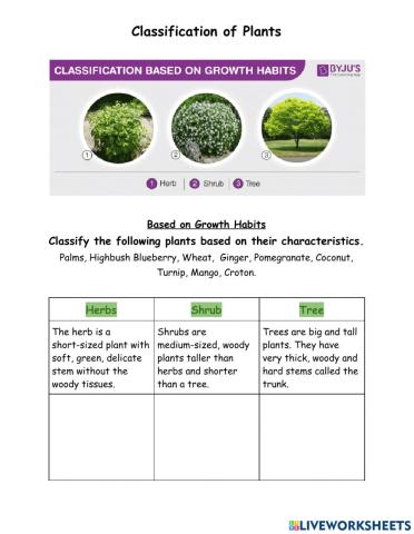 Plant classification