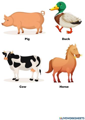 Farm Animals