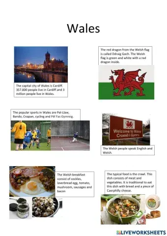 Wales information and questions