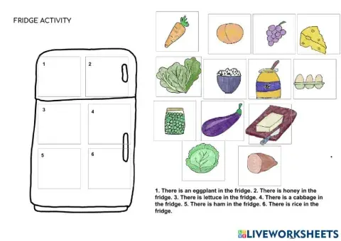 Fridge Activity Food