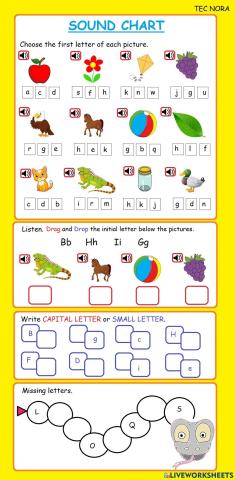 READING (Phonics - Single Sound -Initial letter)