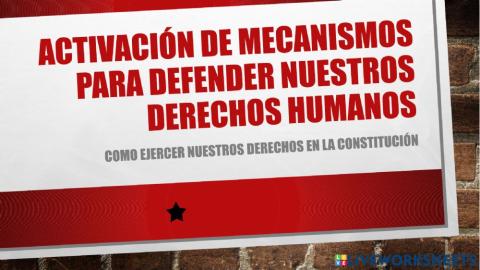 Derechos humanos consitutcion