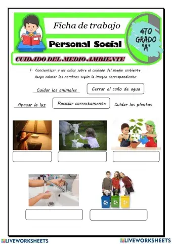 Cuidado del medio ambiente