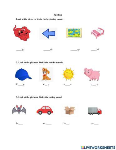 Begining, middle, and ending sounds