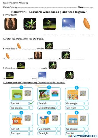 3A1-Lesson 9- What does the plant need to grow?