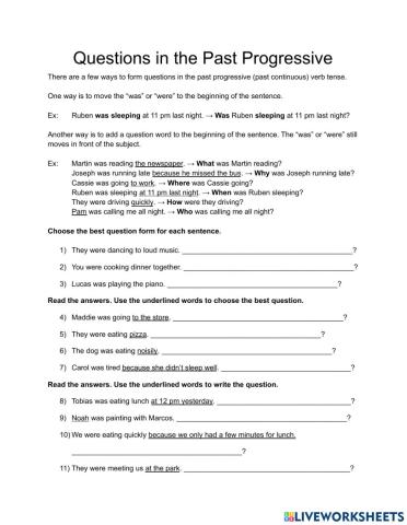 Questions in the Past Progressive
