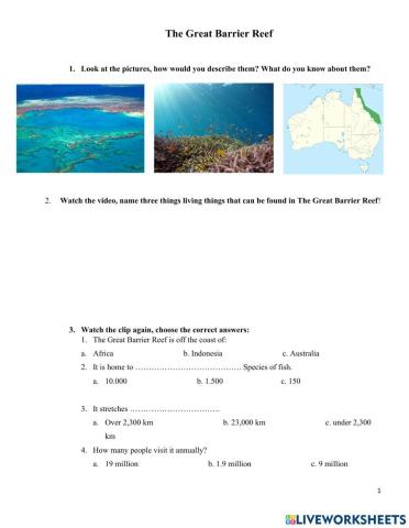 The Great Barrier Reef
