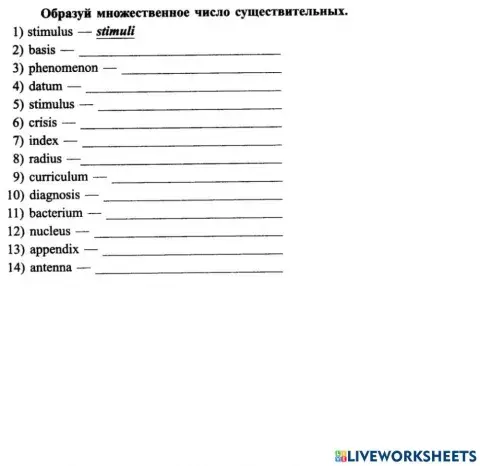 Plurals greek latin U8 L2