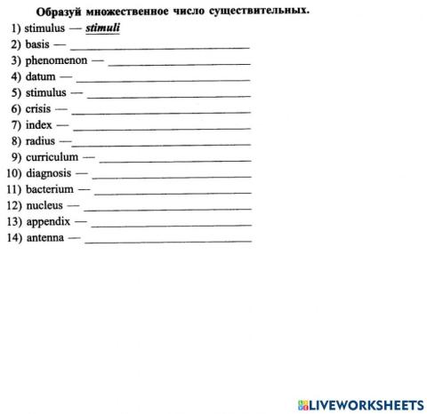 Plurals greek latin U8 L2