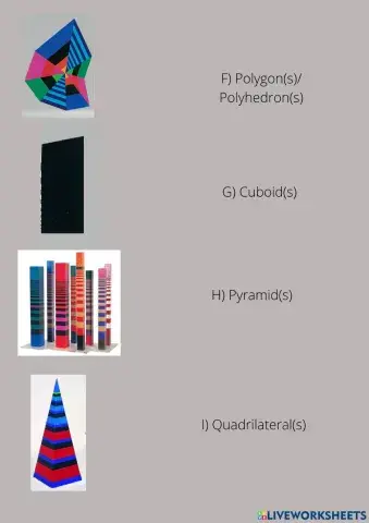 Opy Zouni and Geometry b