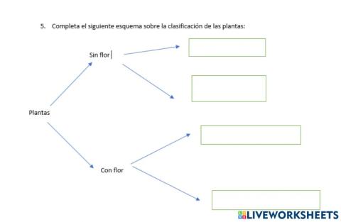 Esquema plantas