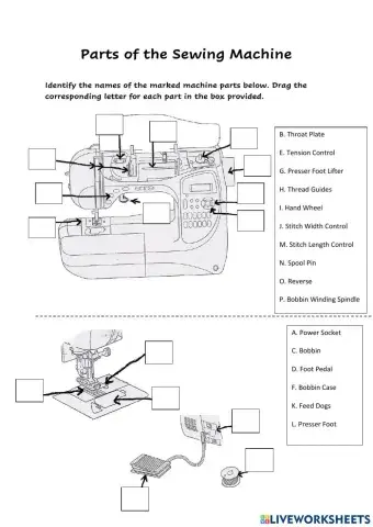 Parts of The Sewing Machine