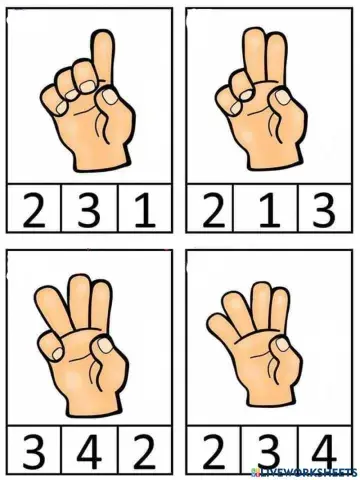 Consciencia numérica