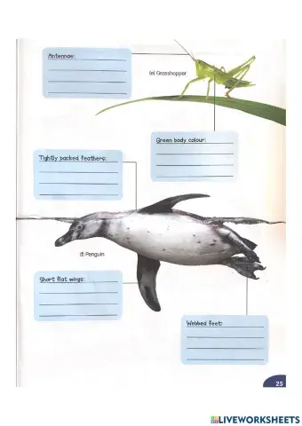 Grasshopper and Penguin's Adaptation