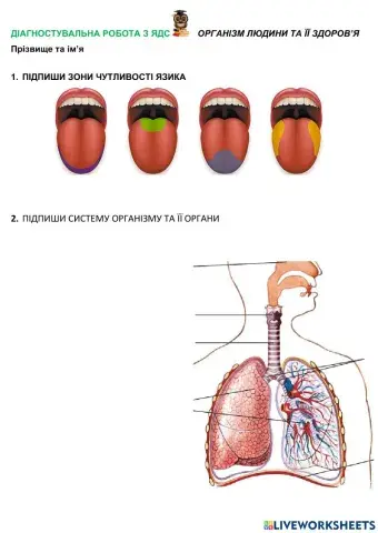 Діагностувальна робота ЯДС