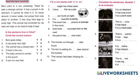 Sm sd 2 english articels