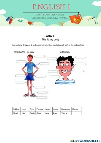 Parts of the body and face