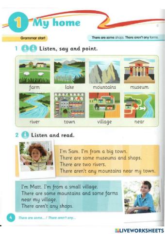 Aren-t any are some Grammar Goals 2