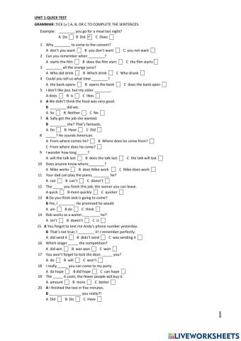 Auxiliaries, personality adjectives and vocabulary