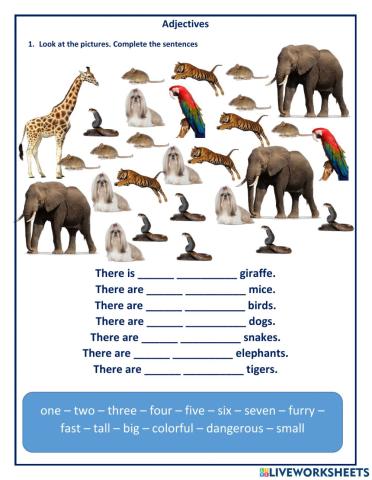 Adjectives and numbers