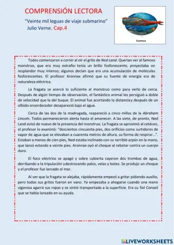 Comprensión lectora Cap.4 Veinte mil leguas de viaje submarino