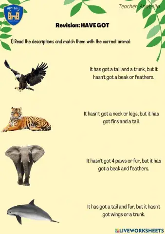 Revision: Have got (animals)