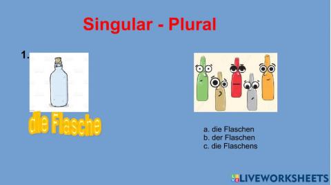 Singular-Plural Nomen