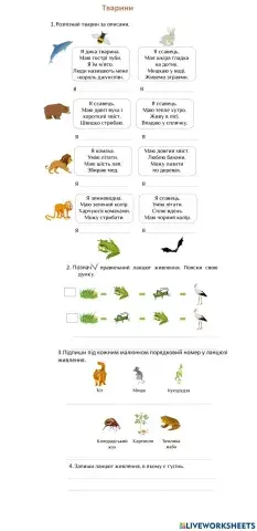 Ланцюги живлення