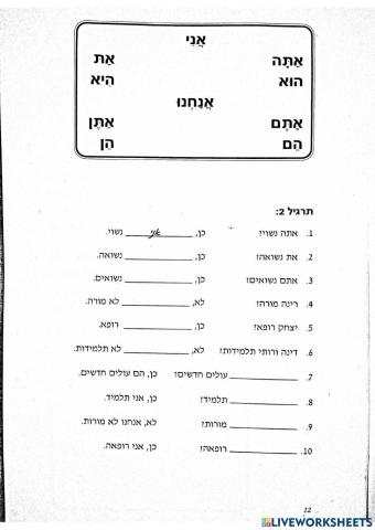 כינויי גוף